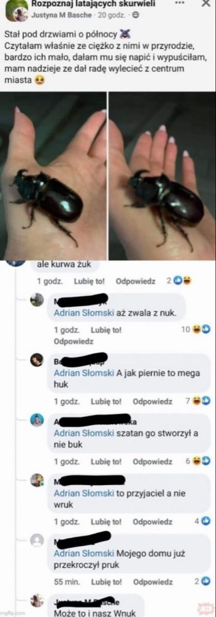 Post Image