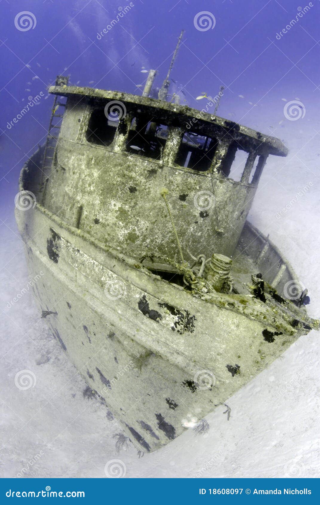 Post Image