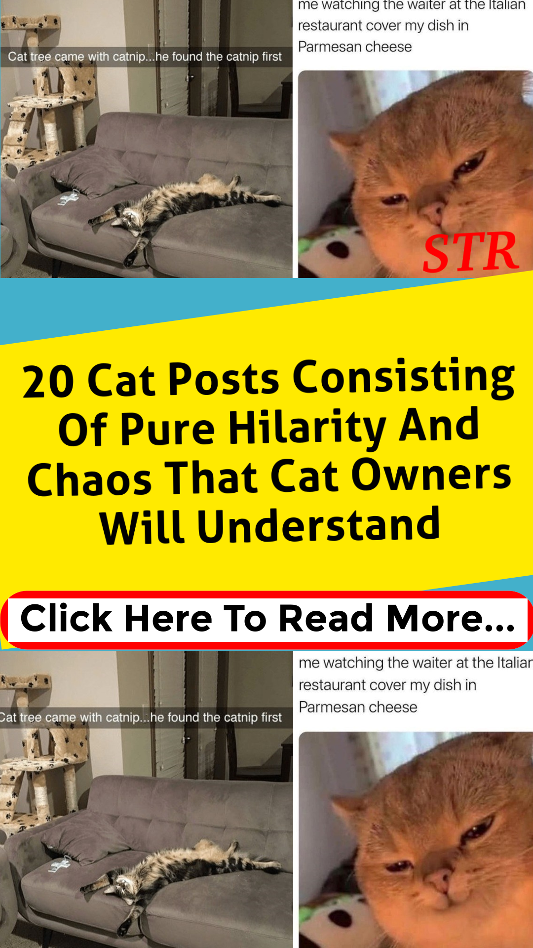 Post Image
