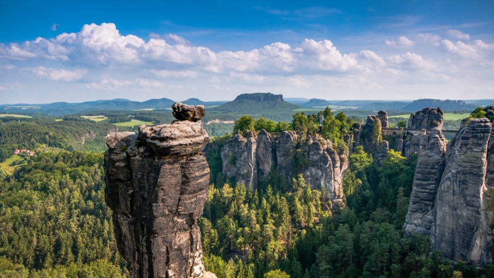 000 Bäume: Großes Naturschutzprojekt Im Nationalpark Sächsische Schweiz 000 Bäume: Großes Naturschutzprojekt Im Nationalpark Sächsische Schweiz