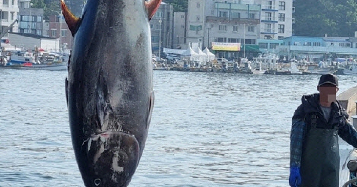 2만 6천 달러에 팔린 해리포터 1편 초판본: 미주 한국일보 기사 분석 2만 6천 달러에 팔린 해리포터 1편 초판본: 미주 한국일보 기사 분석