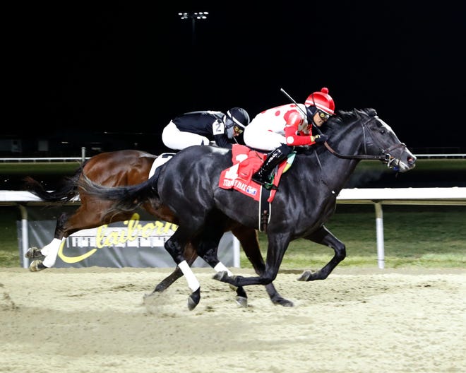 2025 Kentucky Derby: Chunk Of Gold Horse Profile And Betting Odds 2025 Kentucky Derby: Chunk Of Gold Horse Profile And Betting Odds