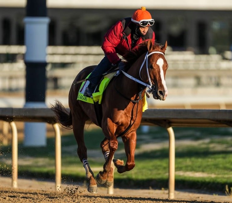 2025 Louisiana Derby: Early Odds, Potential Field, And Kentucky Derby Picks 2025 Louisiana Derby: Early Odds, Potential Field, And Kentucky Derby Picks