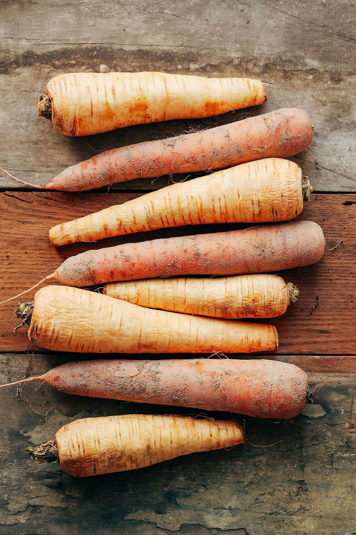 A Country Diary: Identifying And Cooking The Parsnip, A Carrot Relative A Country Diary: Identifying And Cooking The Parsnip, A Carrot Relative
