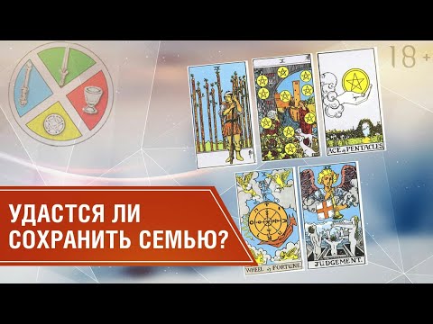 Алжир И Франция: Будущее Отношений Под Угрозой Из-за Украины Алжир И Франция: Будущее Отношений Под Угрозой Из-за Украины