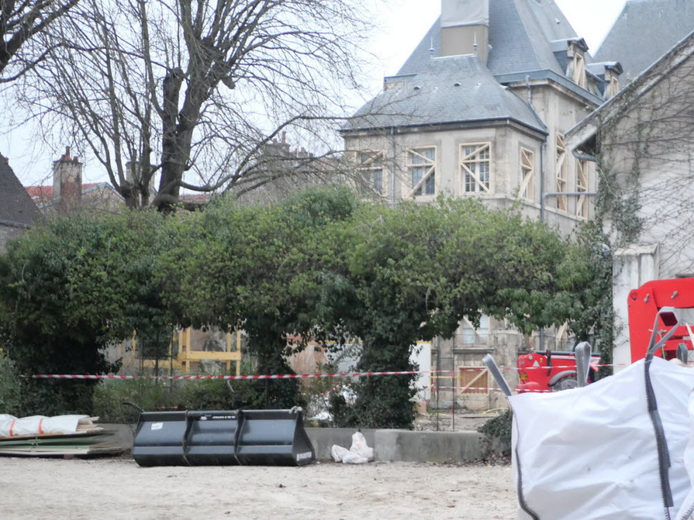 Ambitions Écologistes Pour Les Municipales De Dijon En 2026 Ambitions Écologistes Pour Les Municipales De Dijon En 2026
