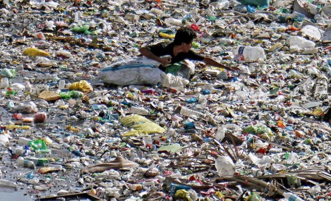 Analisi Della Presenza Di Microplastiche In Diversi Tipi Di Acqua Analisi Della Presenza Di Microplastiche In Diversi Tipi Di Acqua