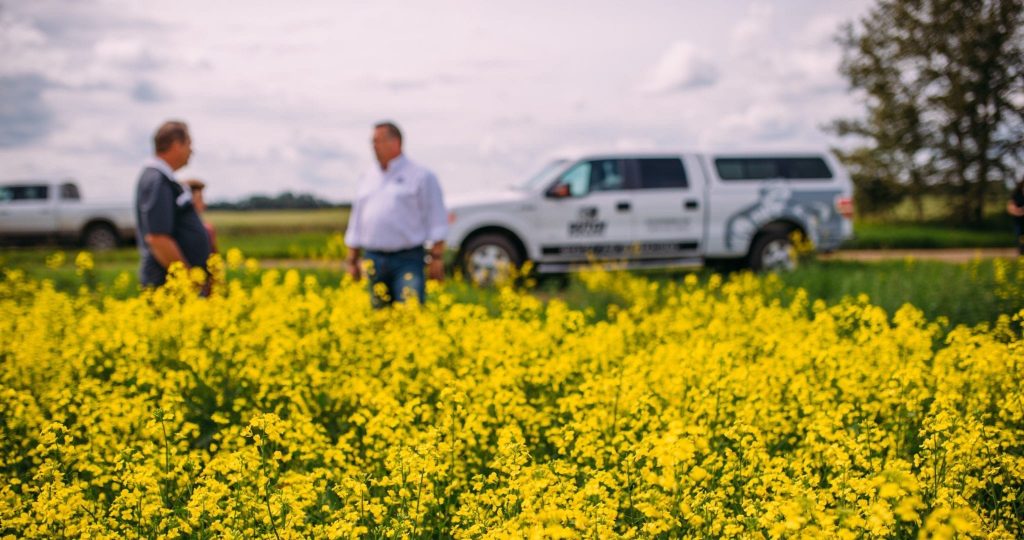 Analyzing China's Post-Canada Canola Import Diversification Analyzing China's Post-Canada Canola Import Diversification