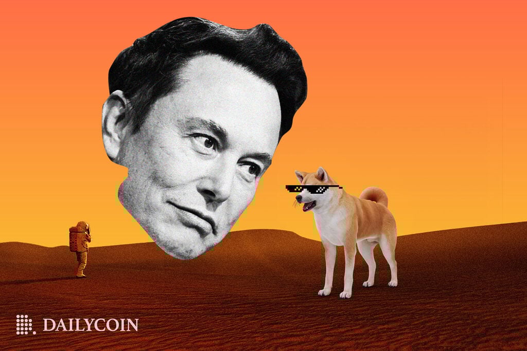 Analyzing Elon Musk's Recent Dogecoin Activity Analyzing Elon Musk's Recent Dogecoin Activity