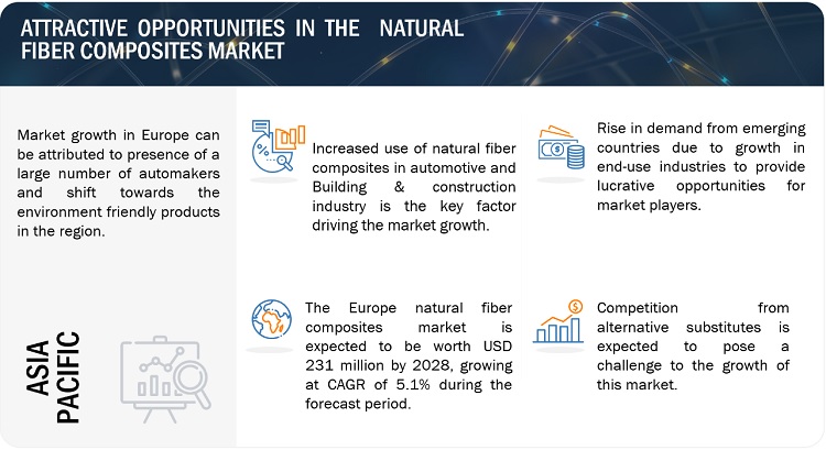 Analyzing The Natural Fiber Composites Market: Global Trends To 2029 Analyzing The Natural Fiber Composites Market: Global Trends To 2029