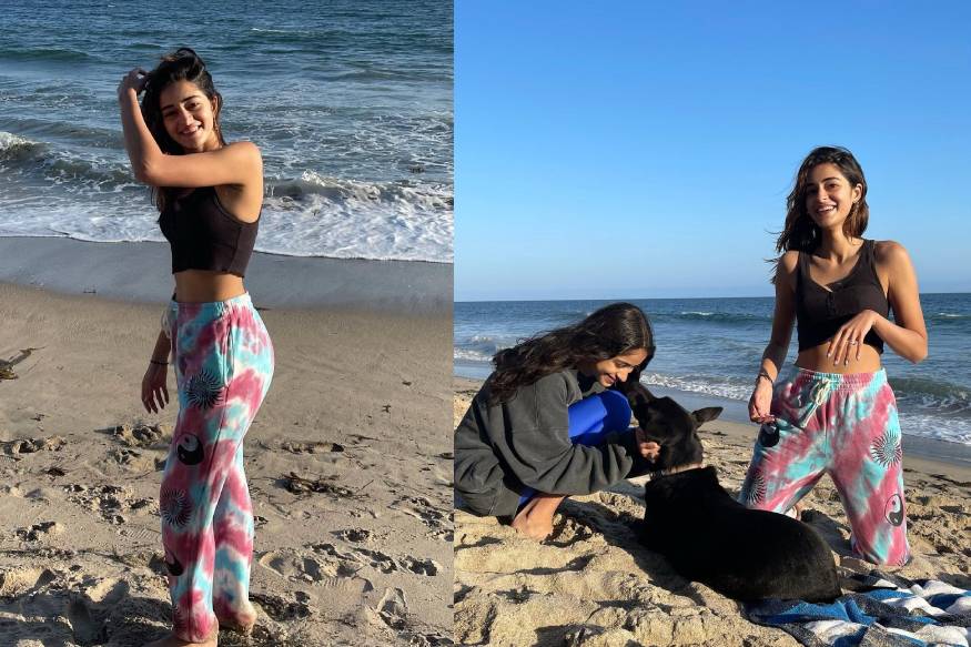 Ananya Panday's Pet Dog Riot Turns One: A Paw-some Birthday Celebration Ananya Panday's Pet Dog Riot Turns One: A Paw-some Birthday Celebration