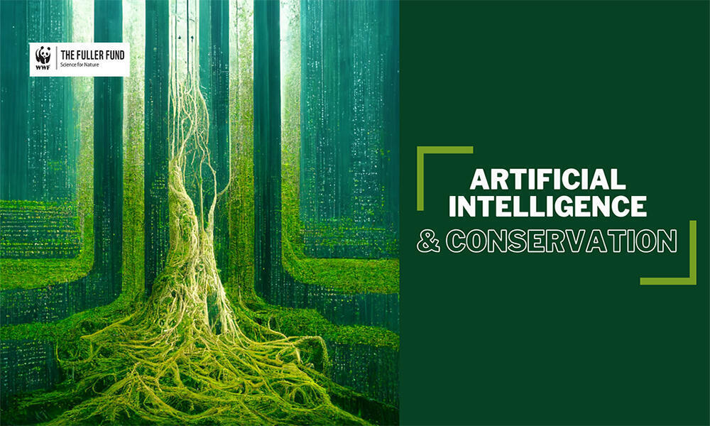 Artificial Intelligence In Wildlife Conservation: Benefits, Challenges, And The Future Artificial Intelligence In Wildlife Conservation: Benefits, Challenges, And The Future