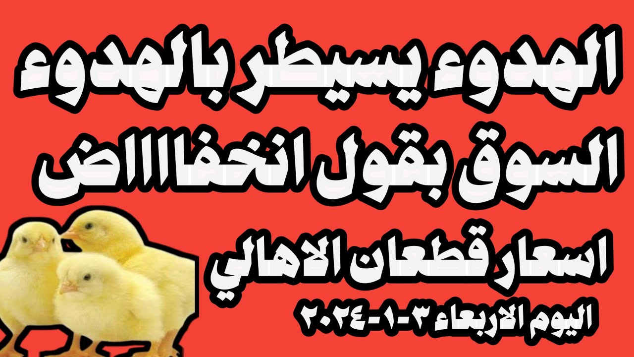 أسعار الكتاكيت اليوم في مصر: تقرير شامل (14/4/2025) أسعار الكتاكيت اليوم في مصر: تقرير شامل (14/4/2025)