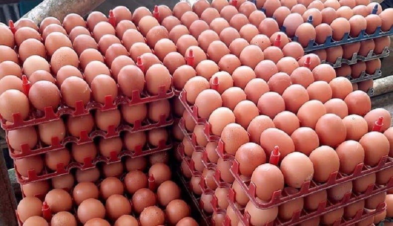 Bali: Gubernur Koster Tolak Canang Jadi Komoditas Inflasi BPS Bali: Gubernur Koster Tolak Canang Jadi Komoditas Inflasi BPS