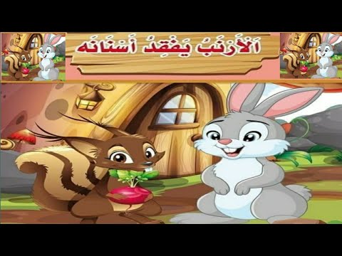 باربوزا يفقد أسنانه: تفاصيل معركة ماراكانا المصيرية باربوزا يفقد أسنانه: تفاصيل معركة ماراكانا المصيرية