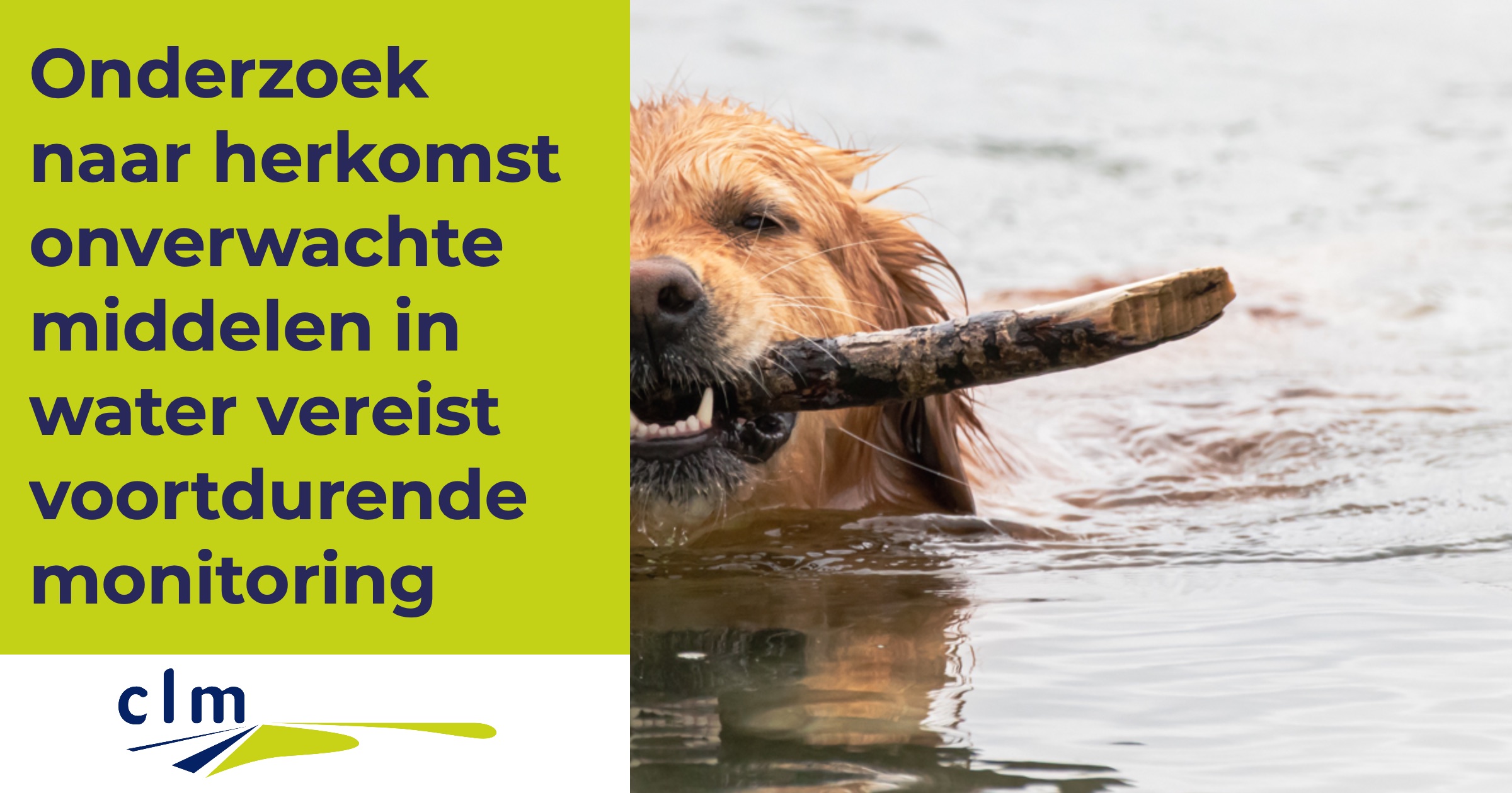 Bayern's Onderzoek Naar Nederlander: Onverwachte Prijs Bayern's Onderzoek Naar Nederlander: Onverwachte Prijs