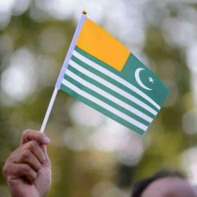 بھارتی حکومت کی کشمیر پالیسی پر آغا سید روح اللہ مہدی کا شدید احتجاج بھارتی حکومت کی کشمیر پالیسی پر آغا سید روح اللہ مہدی کا شدید احتجاج