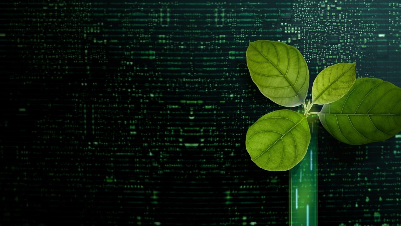 Bitcoin Madenciliğinin Geleceği: Sona Doğru Mu Gidiyoruz? Bitcoin Madenciliğinin Geleceği: Sona Doğru Mu Gidiyoruz?