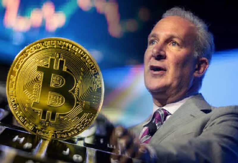 Bitcoin Price Rally: Analysis Of The Recent Surge Towards $100,000 Bitcoin Price Rally: Analysis Of The Recent Surge Towards $100,000