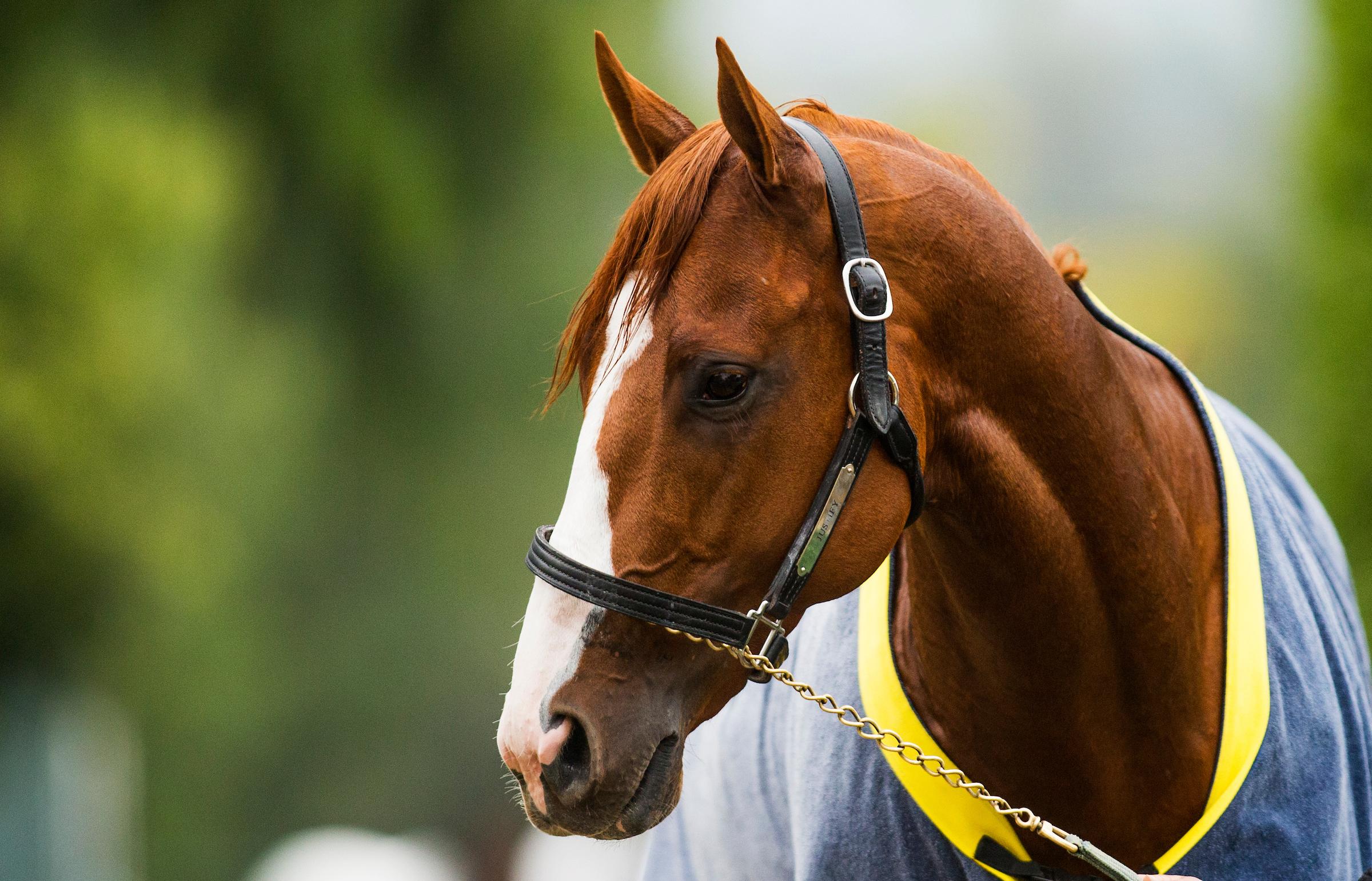 Bob Baffert's Kentucky Derby Return: An Identity Crisis In Racing Bob Baffert's Kentucky Derby Return: An Identity Crisis In Racing
