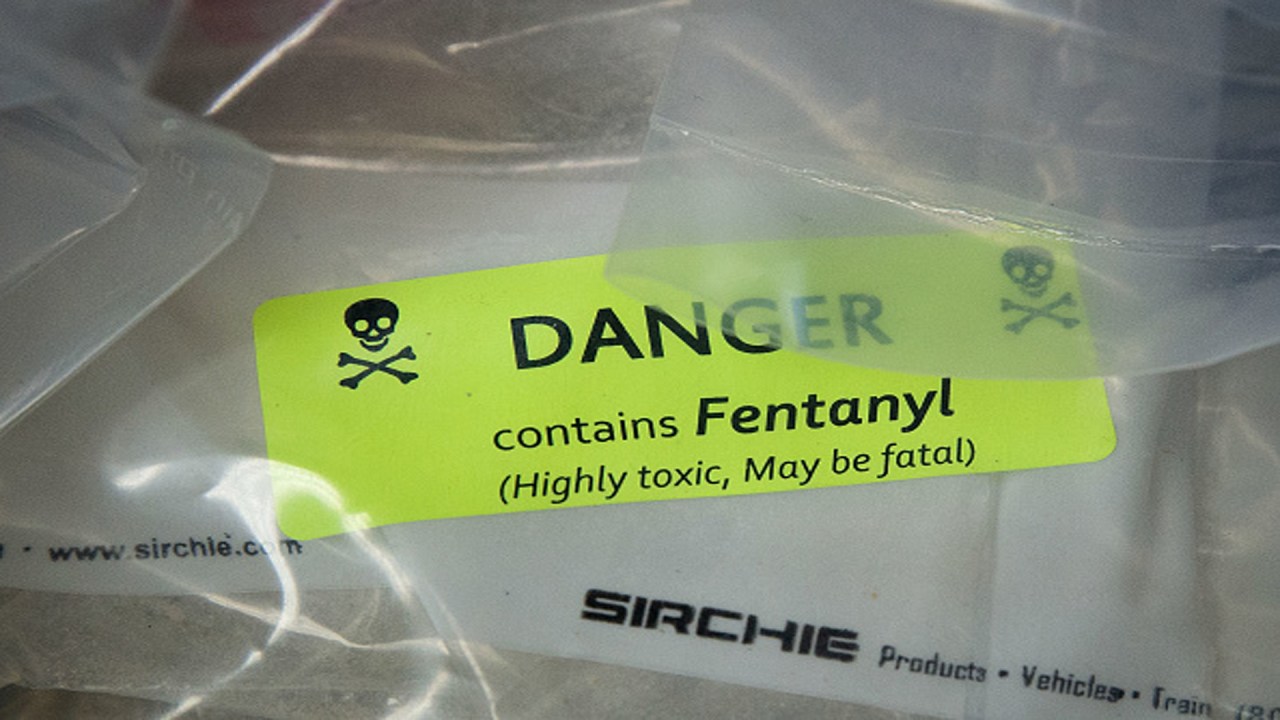 Bondi Announces Record Fentanyl Seizure: Largest In US History Bondi Announces Record Fentanyl Seizure: Largest In US History