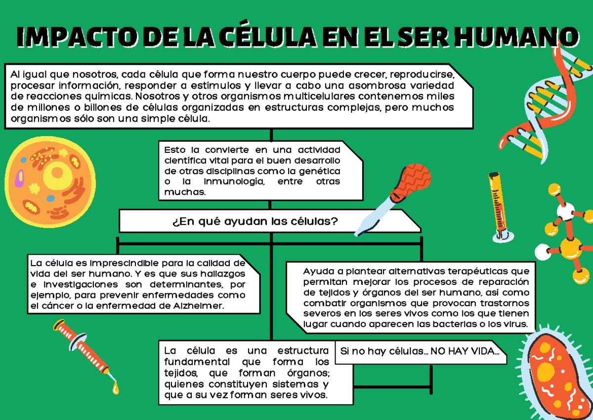 Boxeo Y Transformación Social: El Impacto De La Jornada Nacional En Saltillo