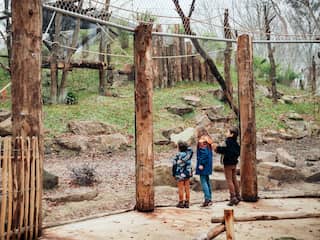 Bruins Onder Druk: Gesprek Met NPO Toezichthouder Over Leeflang Bruins Onder Druk: Gesprek Met NPO Toezichthouder Over Leeflang