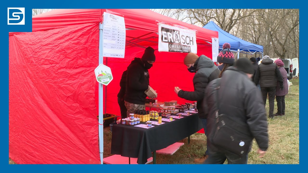 Bukszák Kincskeresése: Mit Találhat? Bukszák Kincskeresése: Mit Találhat?