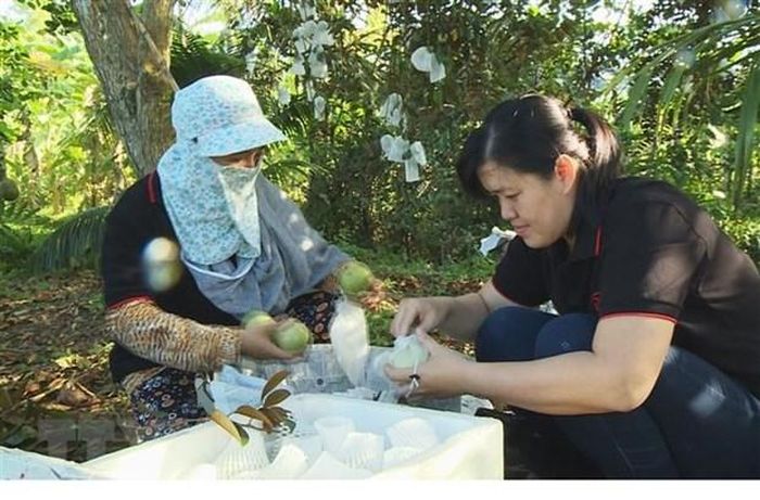 Cần Làm Gì Sau Vụ Bảo Mẫu Đánh Trẻ Ở Tiền Giang? Cần Làm Gì Sau Vụ Bảo Mẫu Đánh Trẻ Ở Tiền Giang?