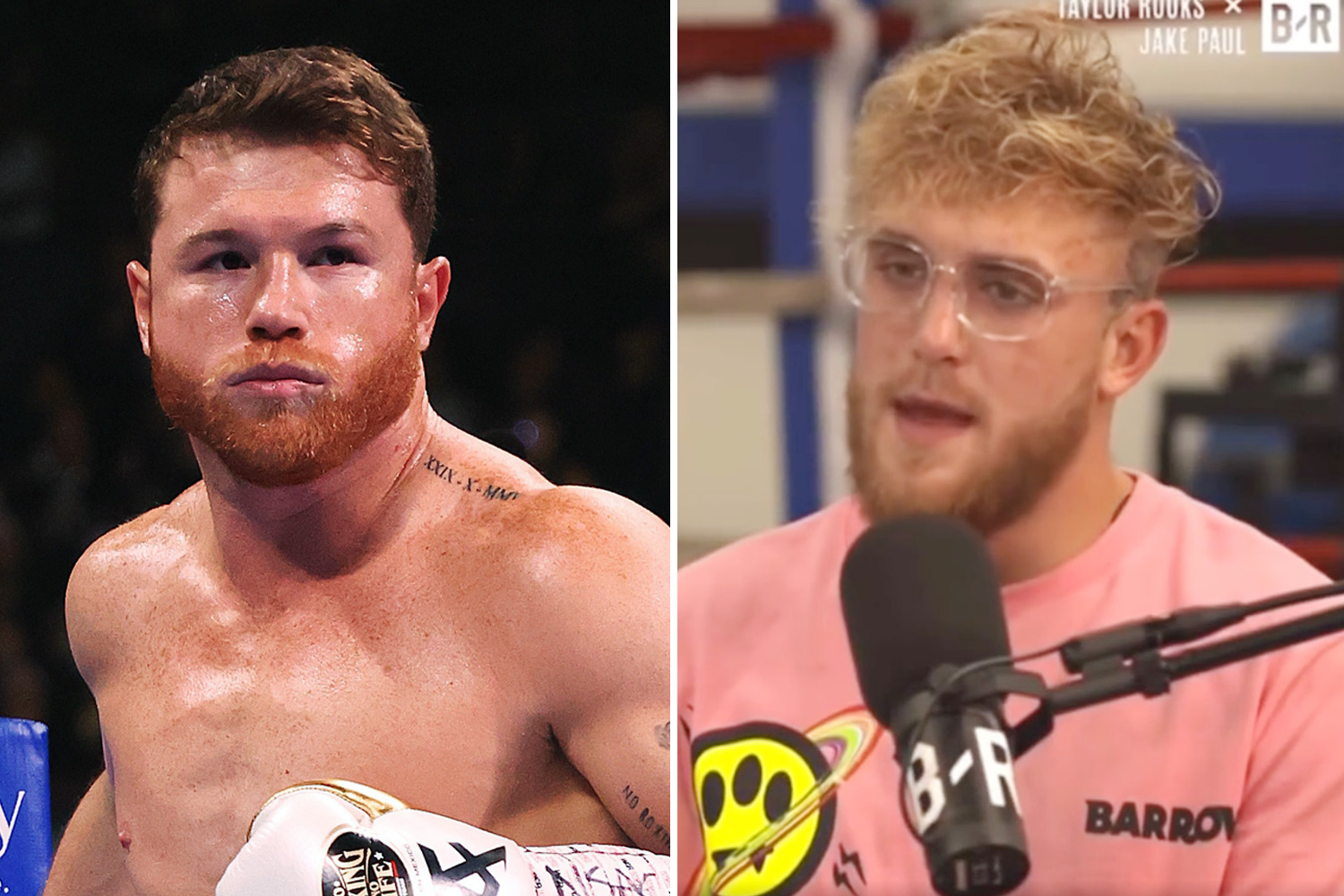 Canelo Alvarez's One-Word Verdict On Jake Paul And Other Boxers Canelo Alvarez's One-Word Verdict On Jake Paul And Other Boxers