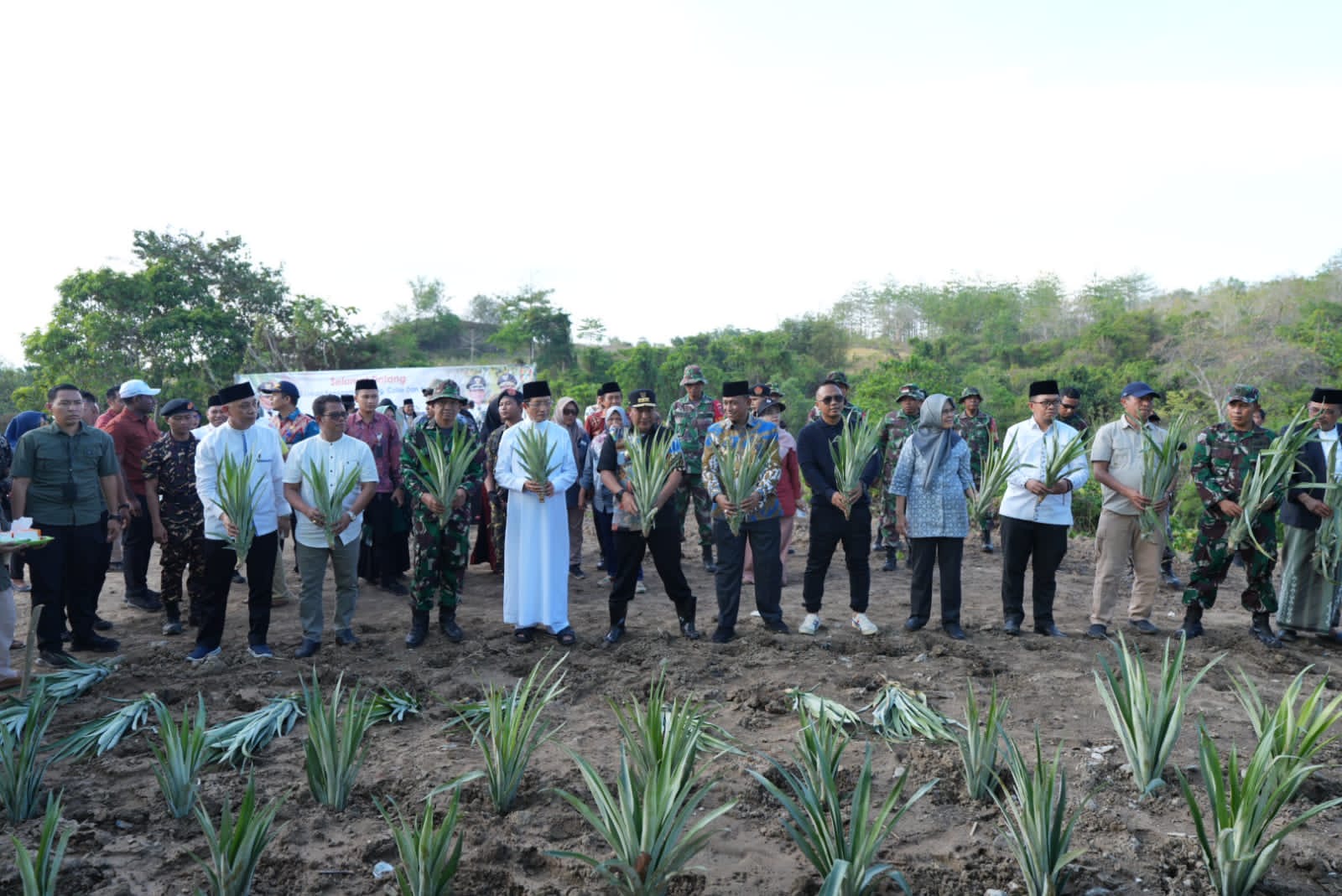 Cangkang Telur Bekas: Manfaatkan Secara Kreatif Untuk Pertanian Dan Peternakan Cangkang Telur Bekas: Manfaatkan Secara Kreatif Untuk Pertanian Dan Peternakan
