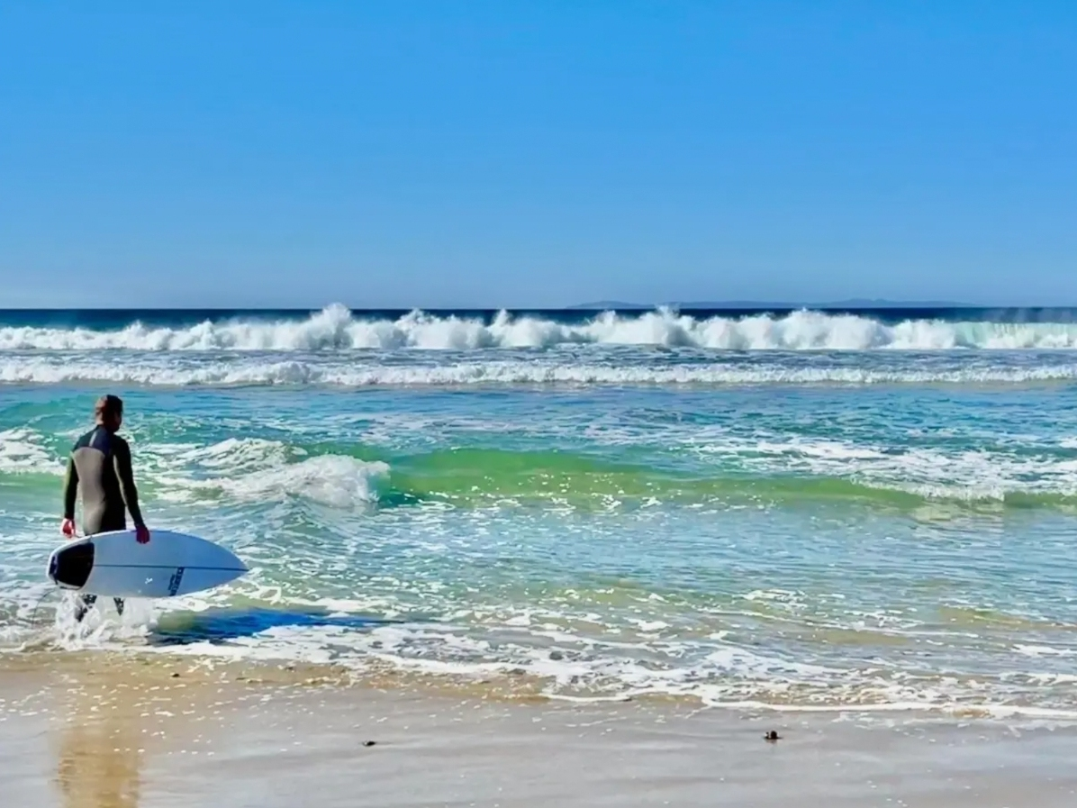 Catch Bioluminescent Waves: Optimal Times To Visit SoCal Beaches Catch Bioluminescent Waves: Optimal Times To Visit SoCal Beaches