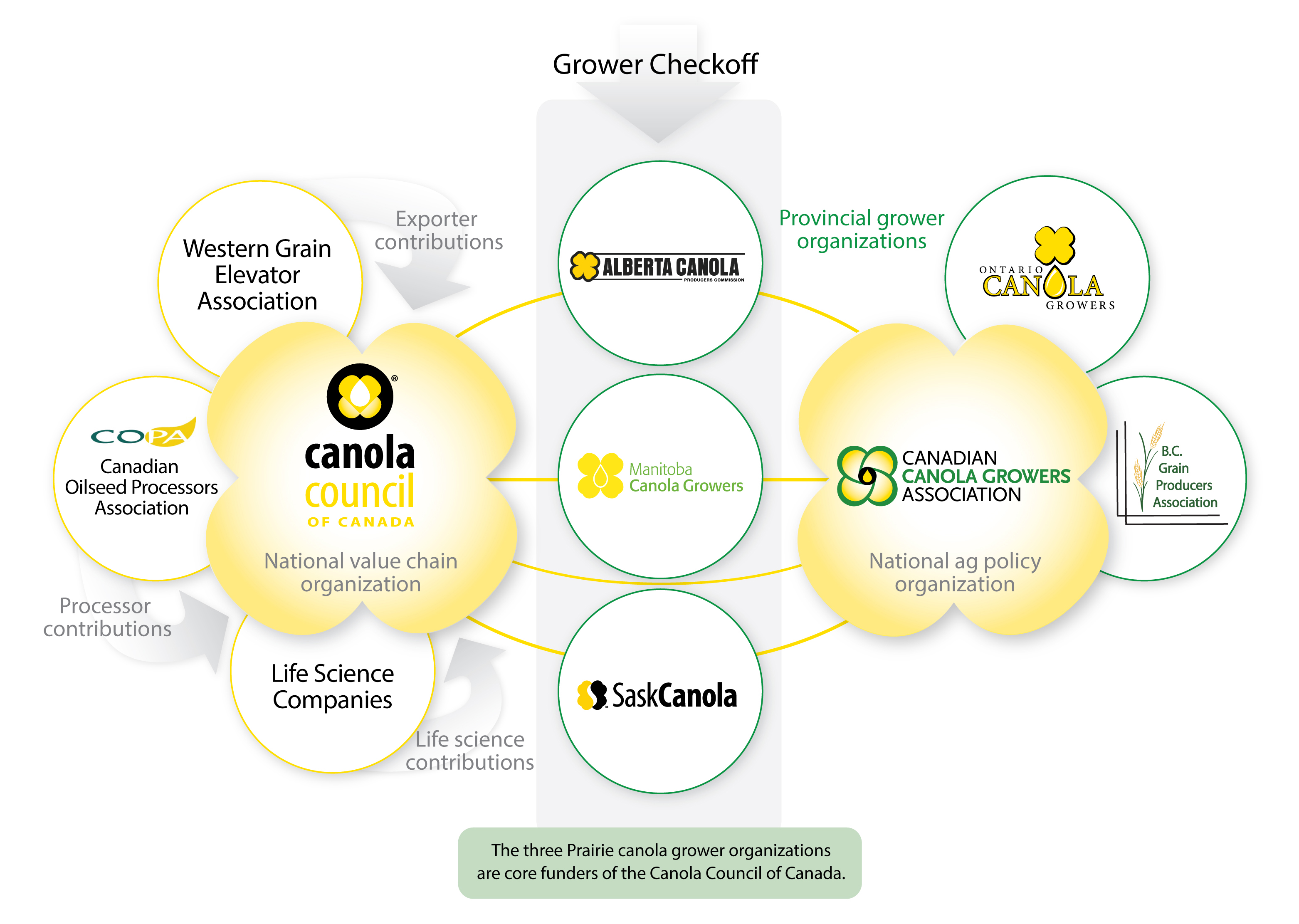 China's Canola Supply Chain: Adapting To Geopolitical Changes China's Canola Supply Chain: Adapting To Geopolitical Changes