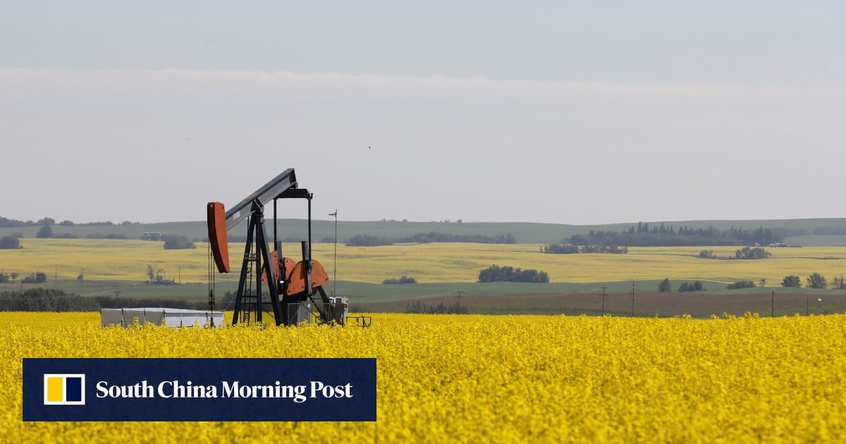 China's Canola Trade: A Geopolitical Perspective China's Canola Trade: A Geopolitical Perspective