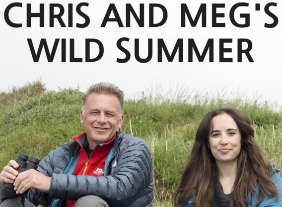 Chris And Meg Experience A Wild Summer Chris And Meg Experience A Wild Summer