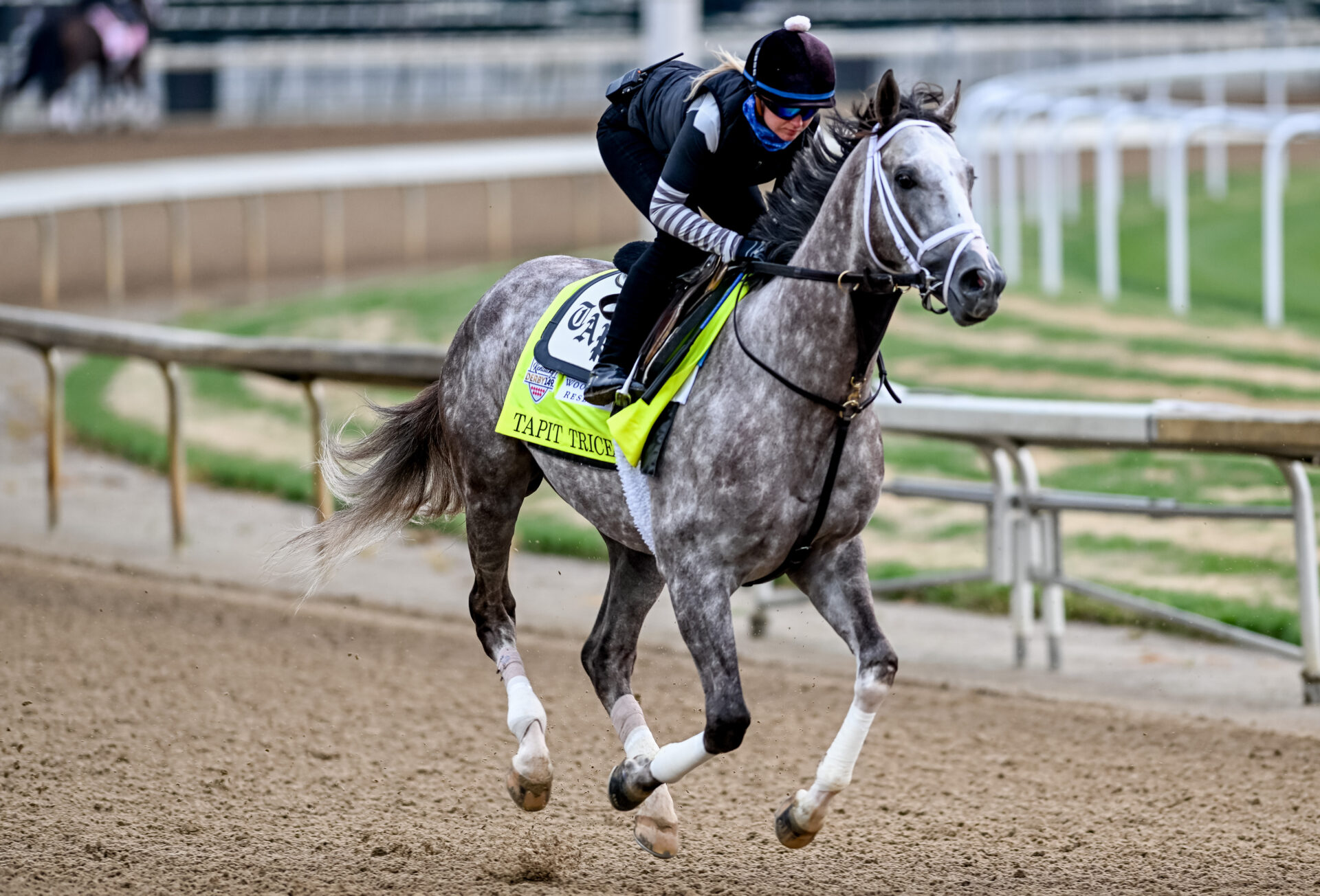 Chunk Of Gold: A 2025 Kentucky Derby Contender Profile Chunk Of Gold: A 2025 Kentucky Derby Contender Profile