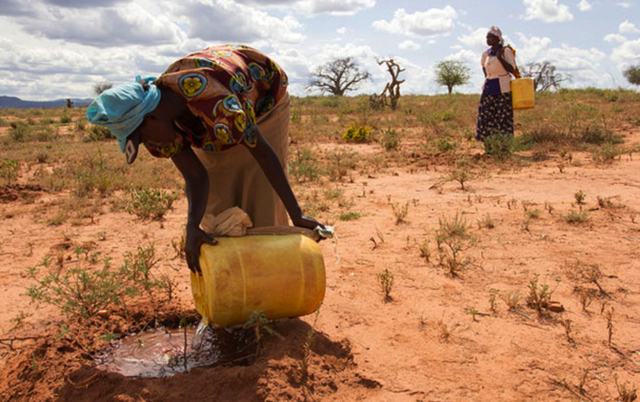 Climate Change Adaptation And Job Creation In Africa's Green Economy