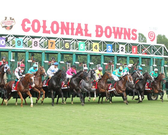 Colonial Downs Virginia Derby: Stone's Announcement And What It Means For Horse Racing Colonial Downs Virginia Derby: Stone's Announcement And What It Means For Horse Racing