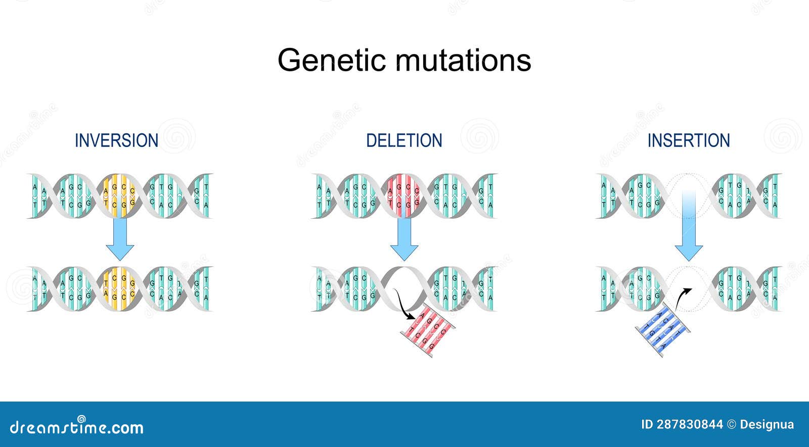 Complete Gene Insertion: An Advanced Gene Editing Approach Complete Gene Insertion: An Advanced Gene Editing Approach