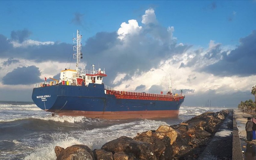 Container Ship Runs Aground On Residential Property: CNN Report Container Ship Runs Aground On Residential Property: CNN Report