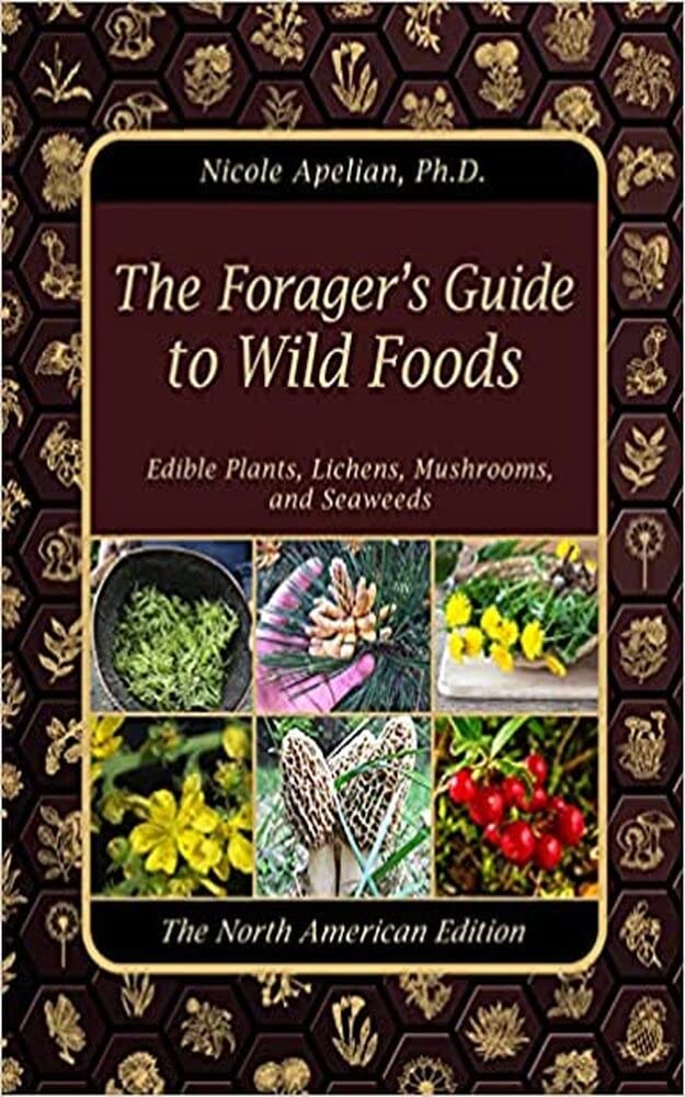Country Diary: Parsnips – A Forager's Guide To Roastable Roots Country Diary: Parsnips – A Forager's Guide To Roastable Roots