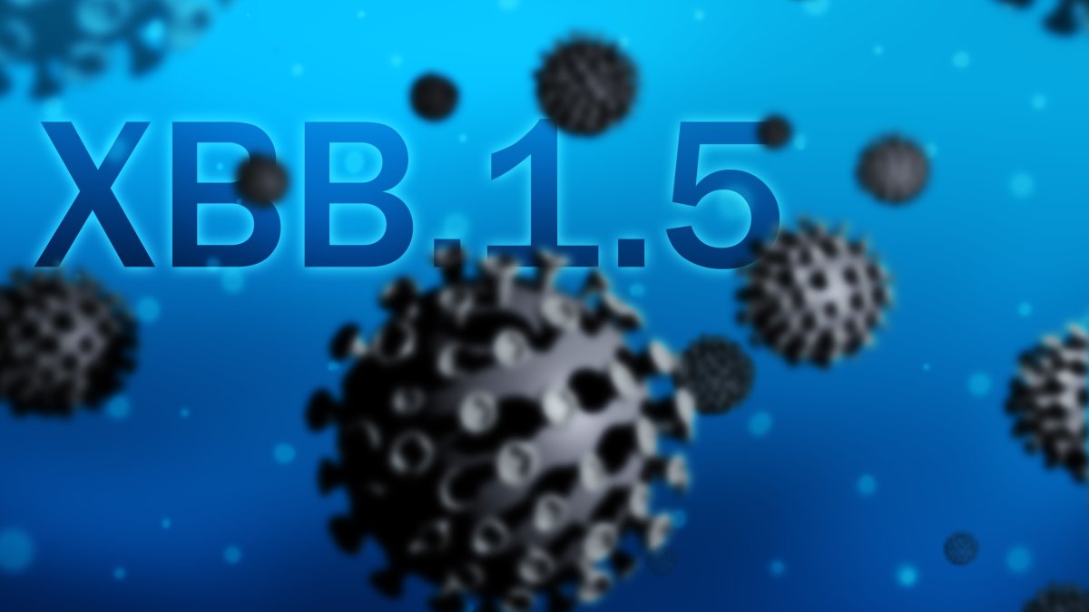 COVID-19 Update: Monitoring The Impact Of The XBB.1.5 Variant In India COVID-19 Update: Monitoring The Impact Of The XBB.1.5 Variant In India