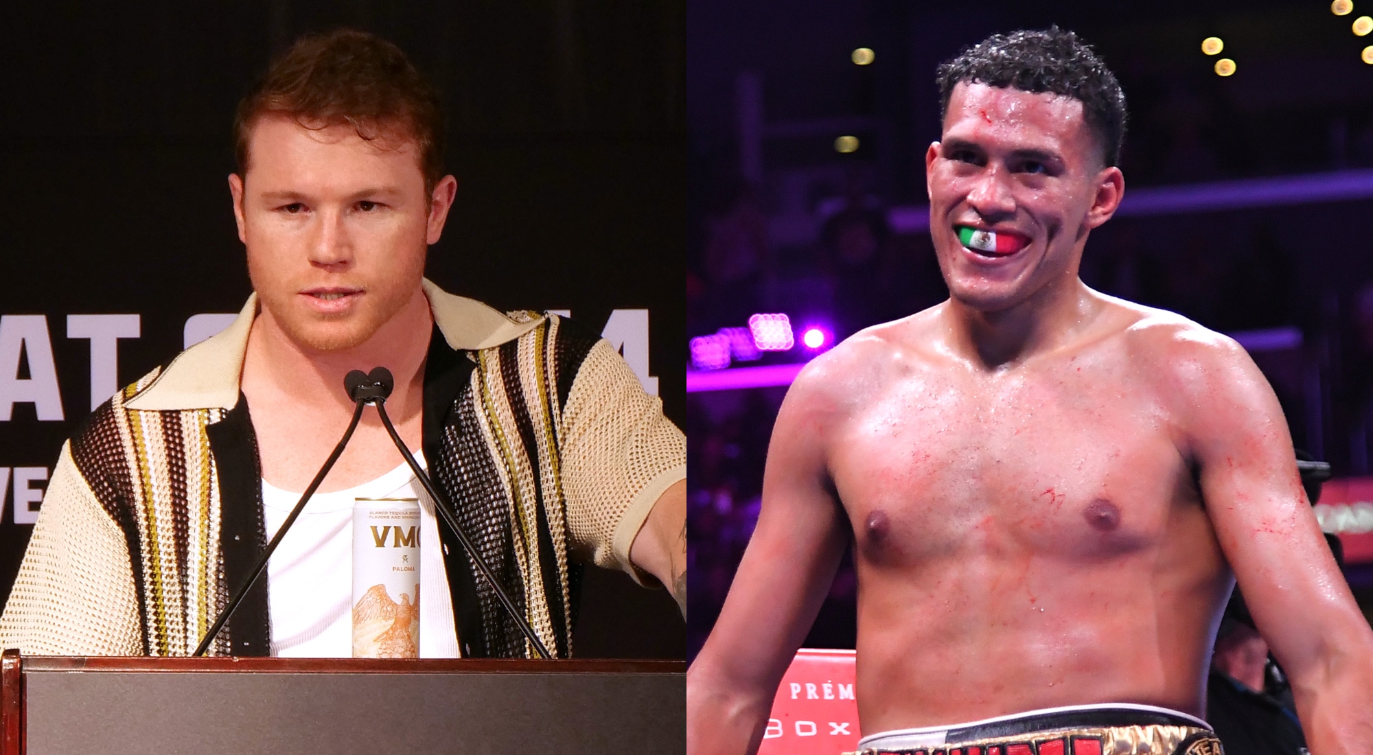Crawford-Canelo: Benavidez Fight And The Allegations Of Disrespect Crawford-Canelo: Benavidez Fight And The Allegations Of Disrespect