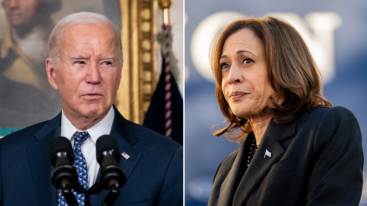 Criticism Mounts: Warren's Defense Of Biden's Cognitive Abilities Falls Short Criticism Mounts: Warren's Defense Of Biden's Cognitive Abilities Falls Short