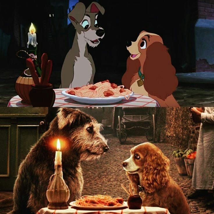 Cubs Fans Recreate Lady And The Tramp's Iconic Hot Dog Scene Cubs Fans Recreate Lady And The Tramp's Iconic Hot Dog Scene