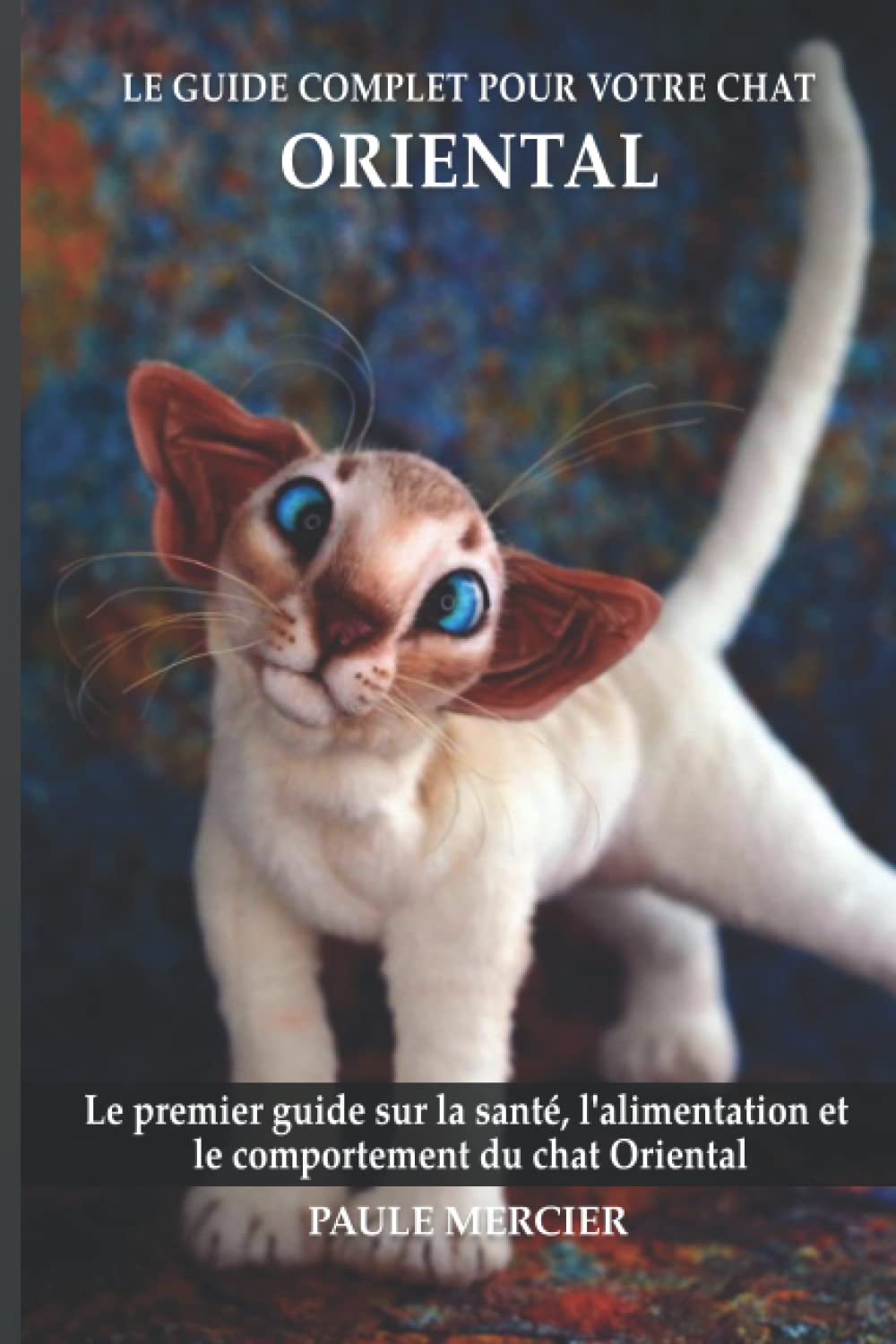 Dans Quoi Investir : Le Guide Complet Pour Les Débutants Dans Quoi Investir : Le Guide Complet Pour Les Débutants