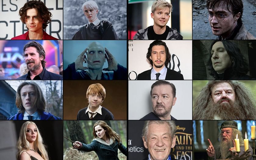 David Tennant And The Max Harry Potter Series: A Look At His Possible Return David Tennant And The Max Harry Potter Series: A Look At His Possible Return