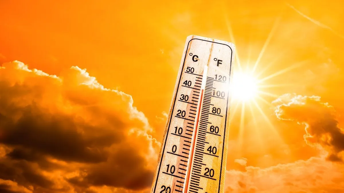 Delhi Heatwave: Government Issues Advisory, Warns Of Heatstroke Delhi Heatwave: Government Issues Advisory, Warns Of Heatstroke