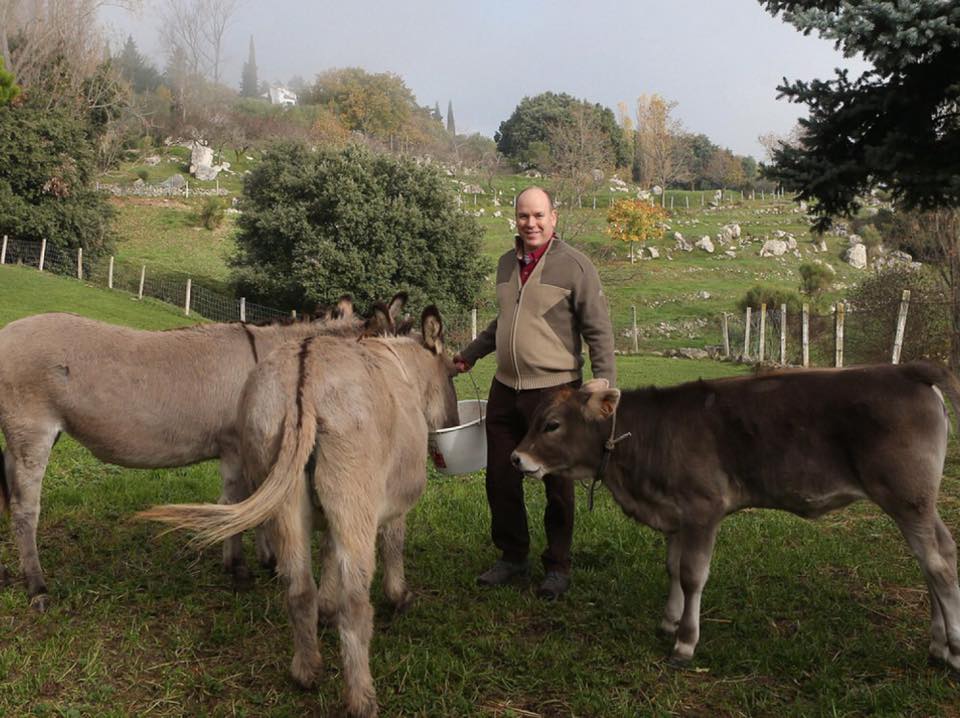 Descubriendo Roc Agel: La Historia Detrás De La Finca Grimaldi Descubriendo Roc Agel: La Historia Detrás De La Finca Grimaldi