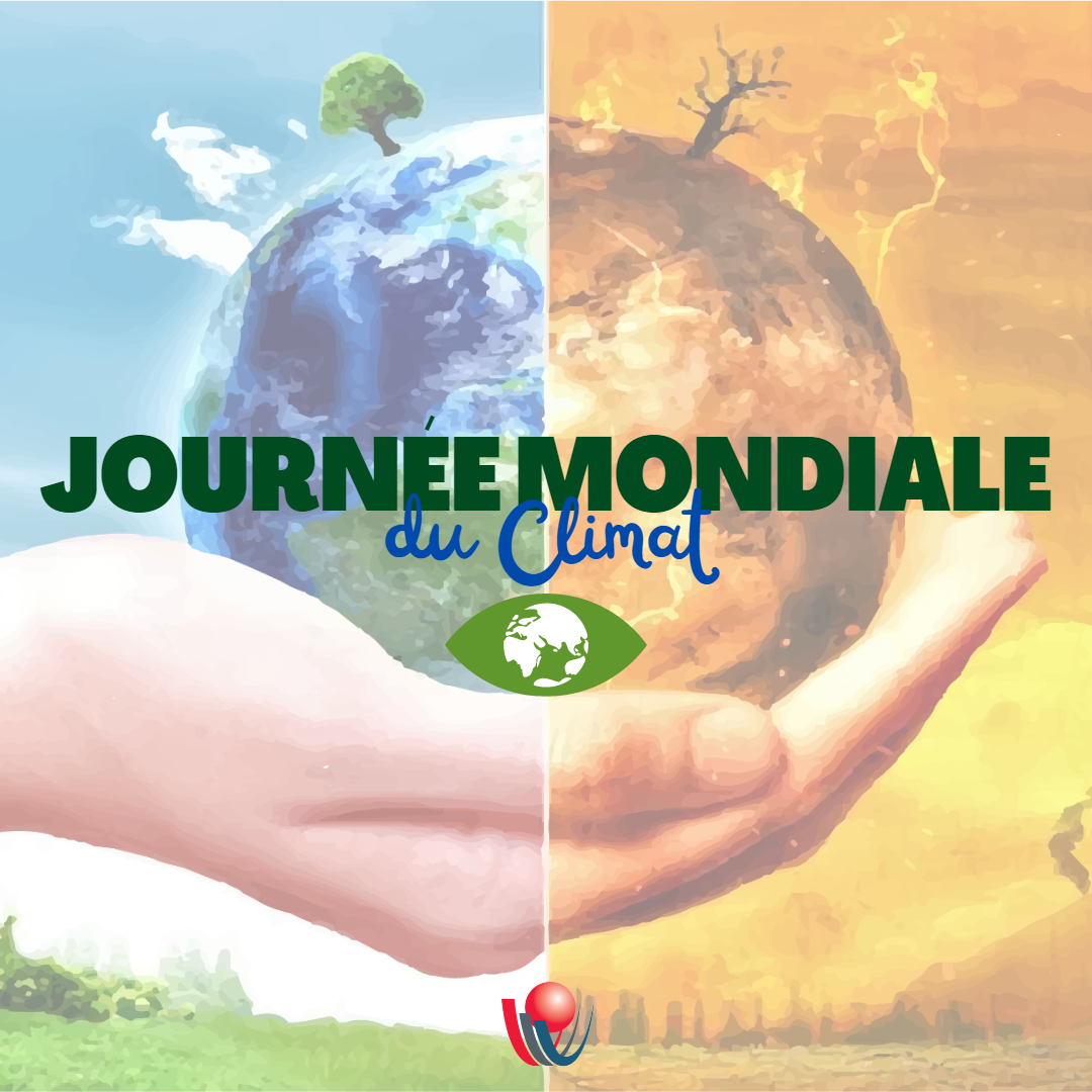 Désinformation : La RTBF Et La Journée Mondiale Du Fact-checking Désinformation : La RTBF Et La Journée Mondiale Du Fact-checking